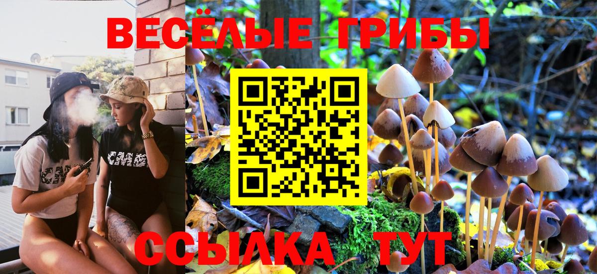 Псилоцибиновые грибы Magic Shrooms Пугачёв