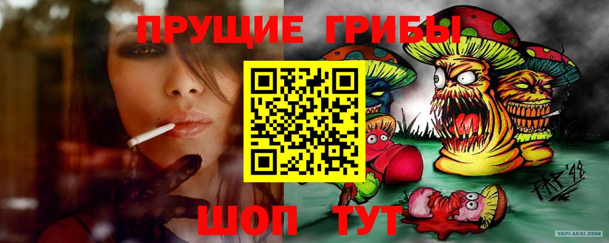 Галлюциногенные грибы GOLDEN TEACHER  Псилоцибиновые грибы GOLDEN TEACHER  Пугачёв  Вход с VPN 